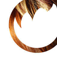 Hairy Trends